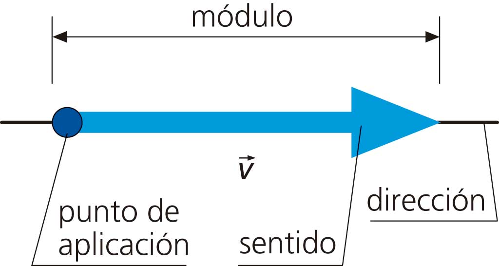 Fisica Magnitud Fundamental Derivadas Escalares Y Vectoriales