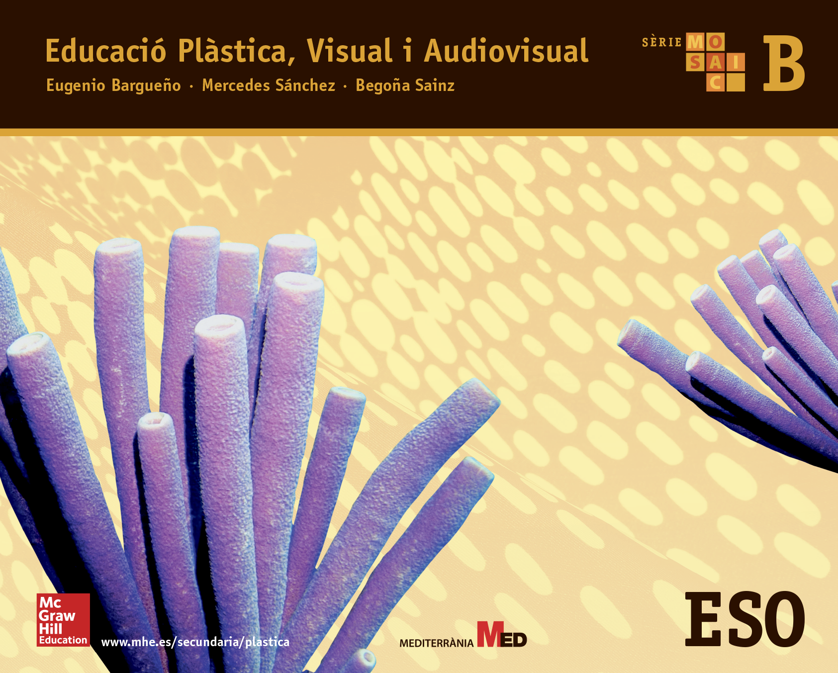 Educació Plàstica, Visual I Audiovisual B. Mosaic | Digital Book ...