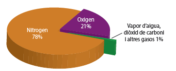 Composició de l'aire en tant per cent en volum.