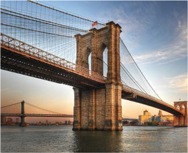 Suspension bridge