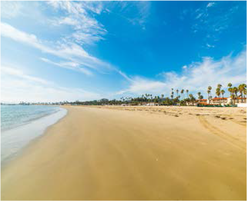 Beach on a sunny day