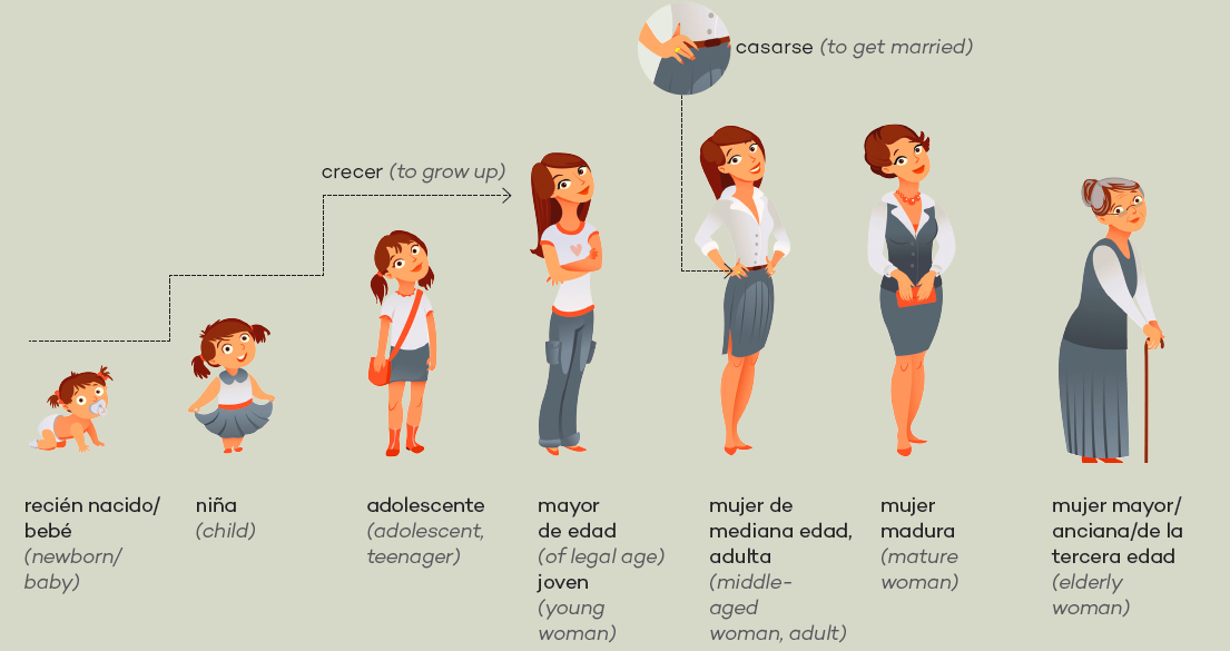 <es>niña</es> (child)  <es>adolescente</es> (adolescent, teenager)  <es>mayor de edad</es> (of legal age) <es>joven</es> (young woman) <es>mujer de mediana edad, adulta</es> (middle-aged woman, adult)  <es>mujer madura</es> (mature woman)  <es>mujer mayor/ anciana/de la tercera edad</es> (elderly woman)   <es>crecer</es> (to grow up)  <es>casarse</es>  (to get married) 