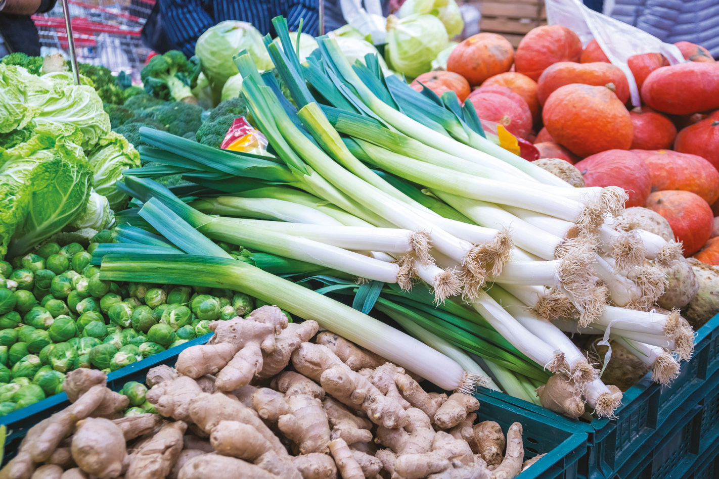 Market stand full of vegetables. 