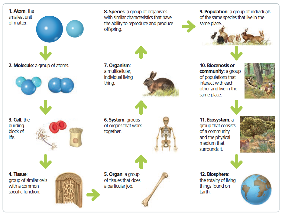 biology of the living earth