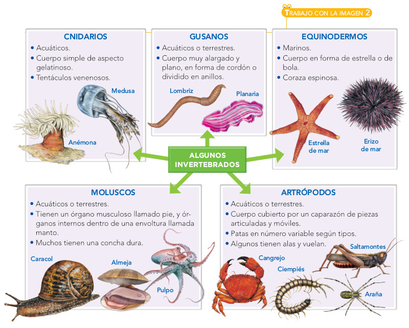 Blink Activity | BlinkLearning