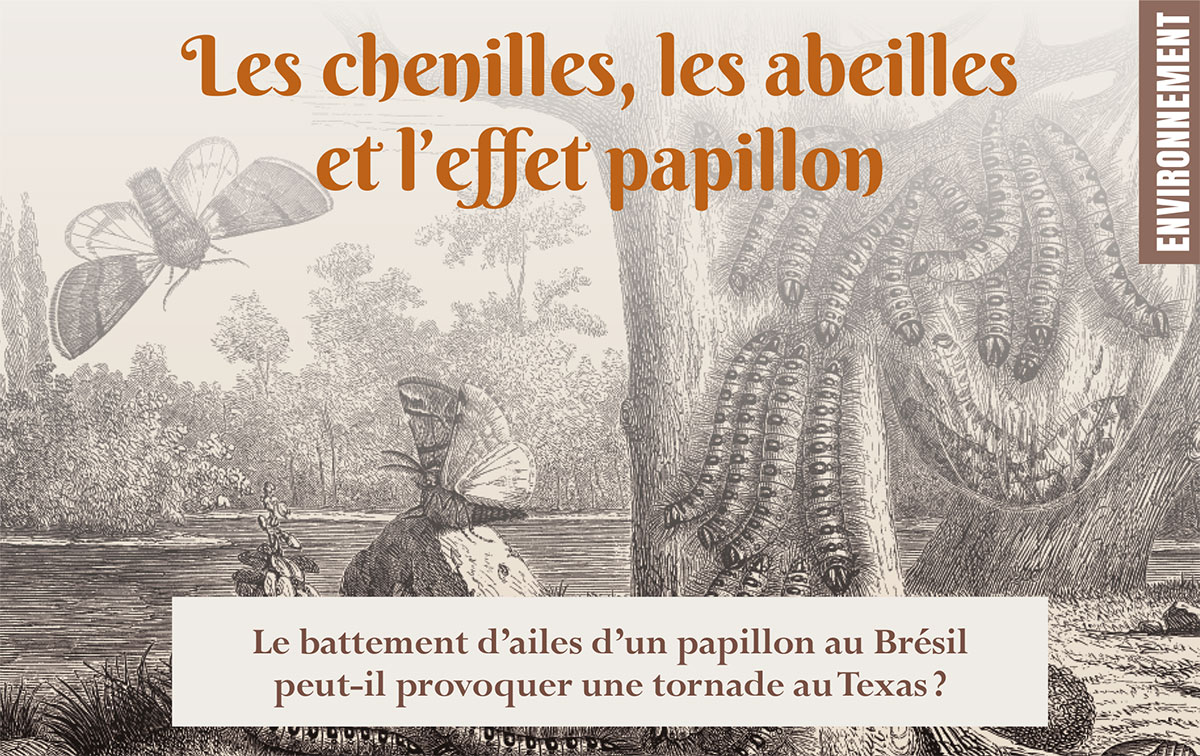 <fr>Environnement Les chenilles, les abeilles et l'effet papillon Le battement d'ailes d'un papillon au Brésil peut-il provoquer une tornade au Texas ?</fr>