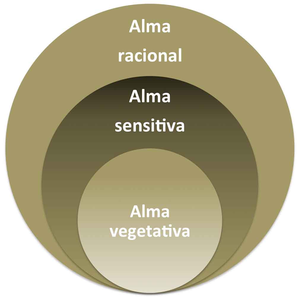 Blink Activity | BlinkLearning