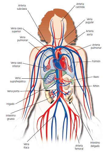 Blink Activity | BlinkLearning