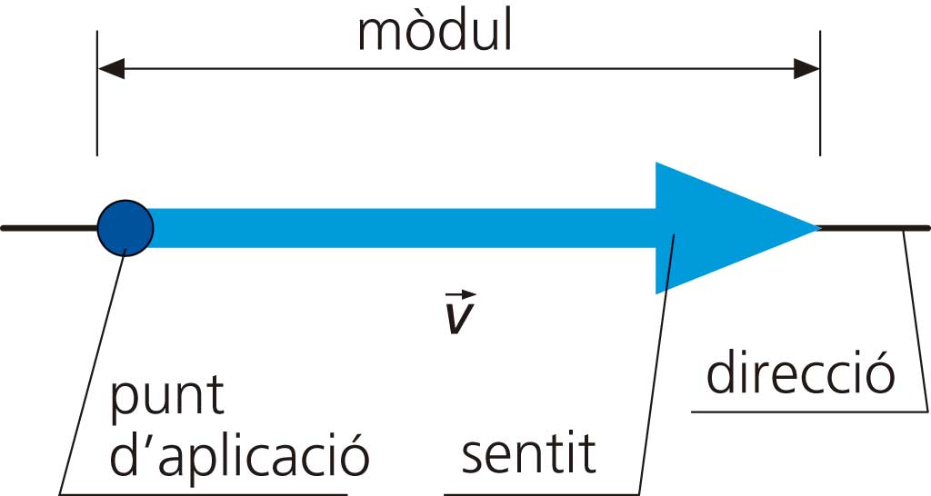 Blink Activity BlinkLearning