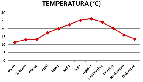 Resultado de imagen de ejemplos de gráficas quinto