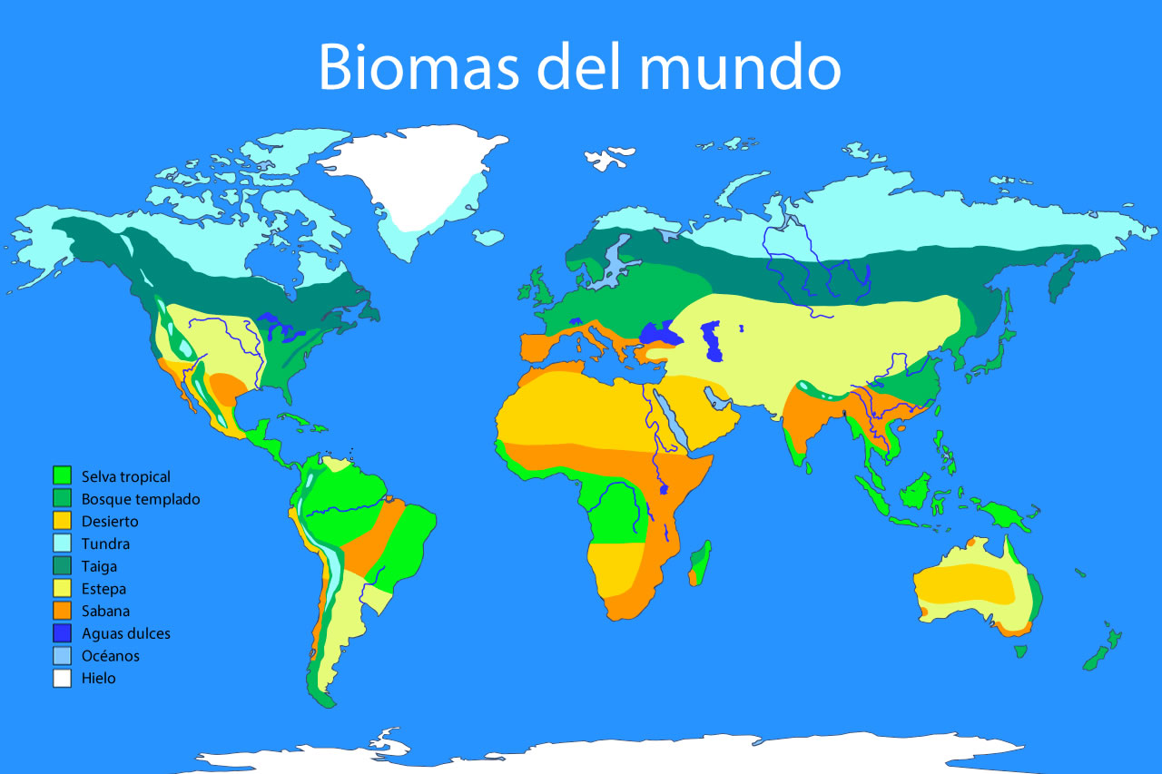 BIOMAS DEL MUNDO