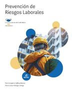 Book cover CFGB - Prevención de riesgos laborales (2024)