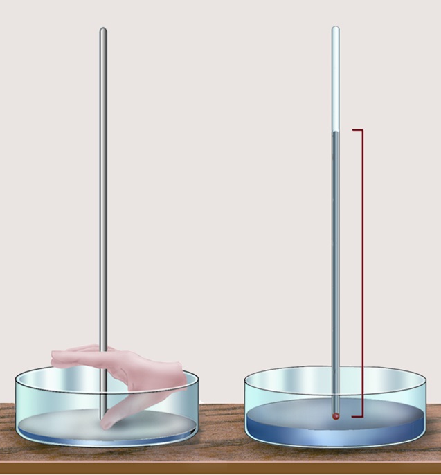 ccnn1_08_08