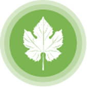  Inteligencia naturalista