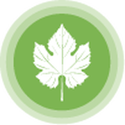  Inteligencia naturalista